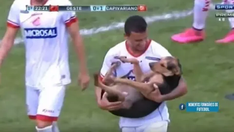Jogador carrega cachorro em campo