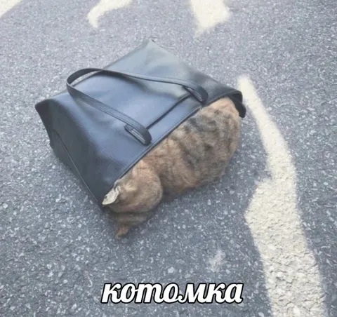 Котомка с котом