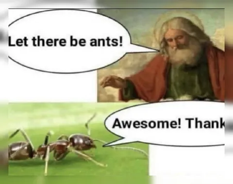 Let There Be Ants