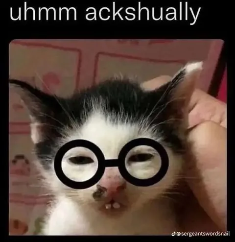 Uhmm Ackshually Cat