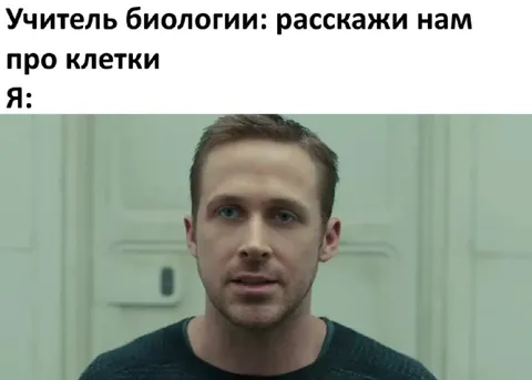 Когда попросили рассказать про клетки