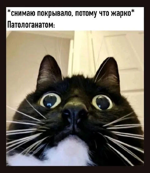 Снимаю покрывало потому что жарко