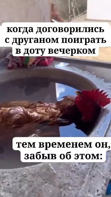 Забыл про игру в Dota