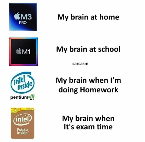 My Brain Processor Comparison