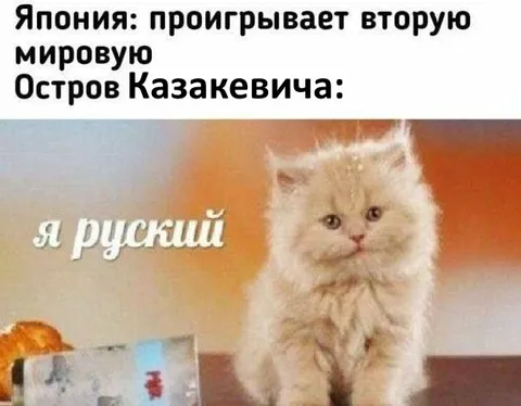 Я русский — остров Казакевича