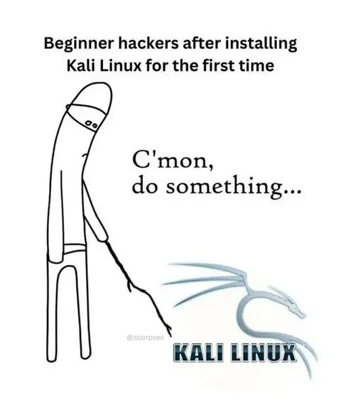 Beginner Kali Linux Hacker