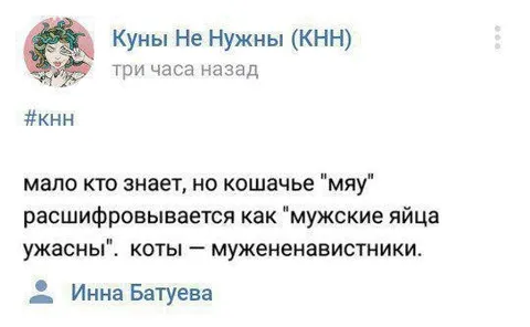 Кошачья расшифровка «мяу»