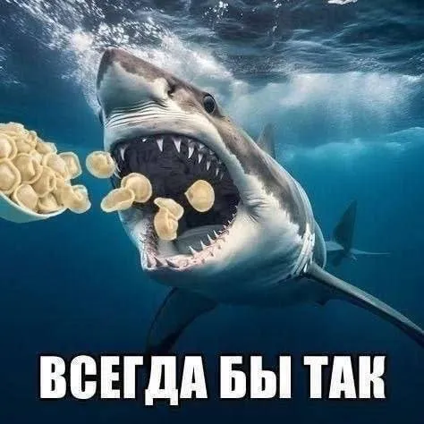 Акула всегда бы так