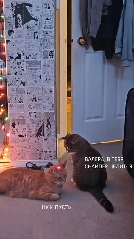 Валера, в тебя целится снайпер