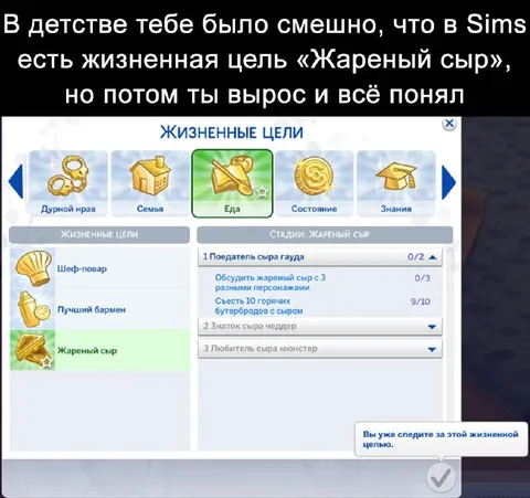 Жизненная цель «Жареный сыр»