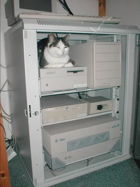Кот внутри серверного шкафа