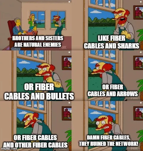 Fiber Cables Are Natural Enemies