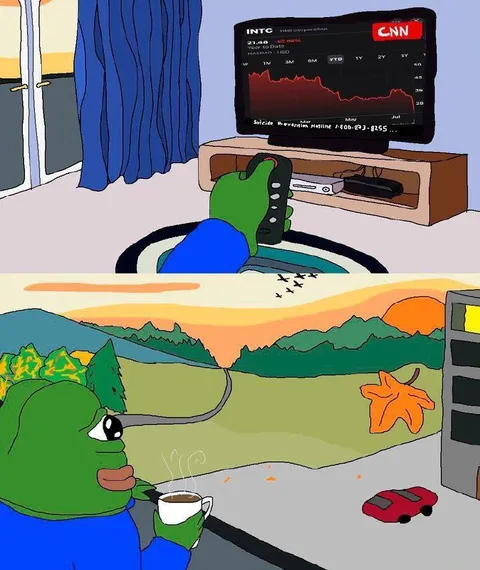 Pepe Watches the Market Crash