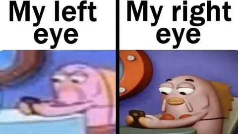 My Left Eye My Right Eye