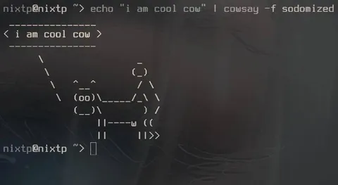 Cool Cow Cowsay Terminal