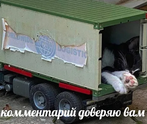 Комментарий доверяю вам