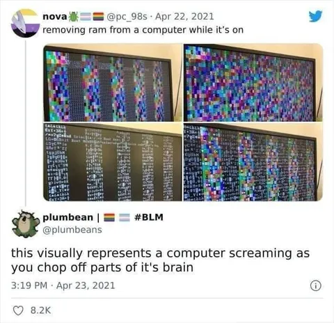 Computer Screams During RAM Removal