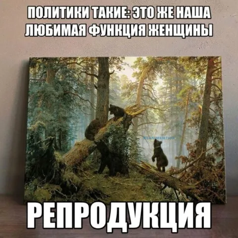 Любимая функция женщины