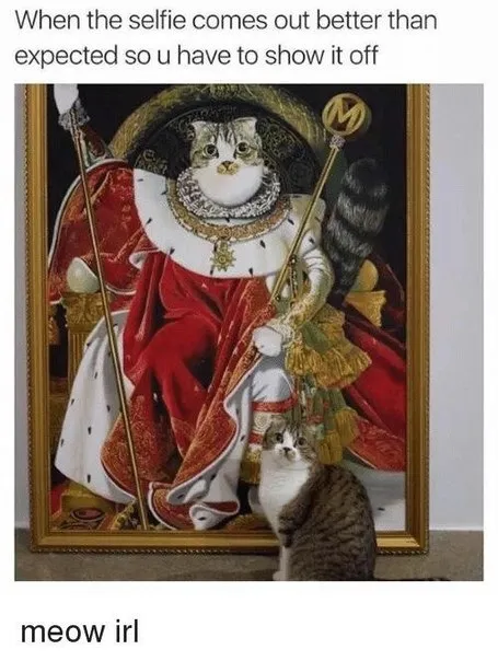 Cat Shows Off Perfect Selfie