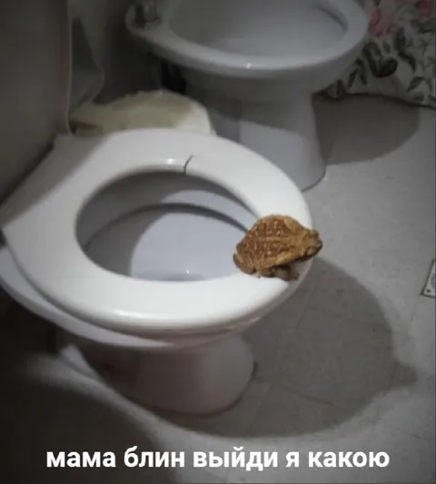 Мама, выйди, я какаю