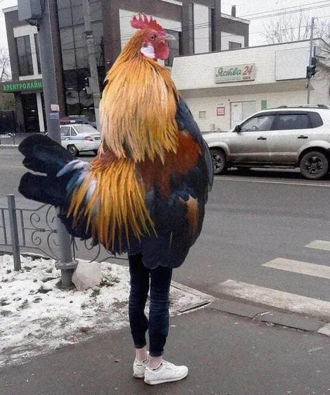 Человек в костюме петуха на улице