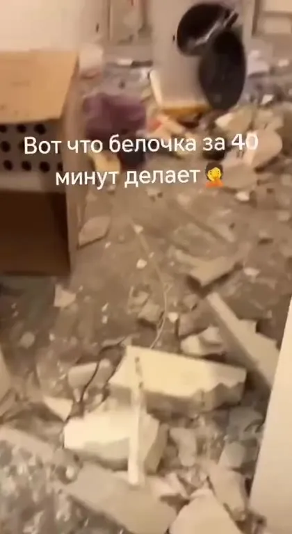Что белочка делает за 40 минут