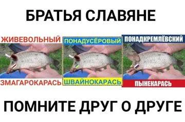 Братья-славяне с карасями