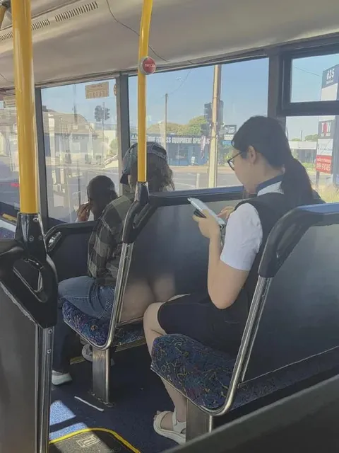 Woman Reading on the Bus