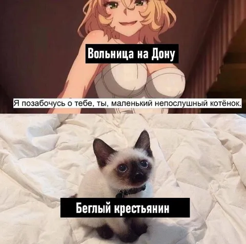 Вольница на Дону и беглый крестьянин