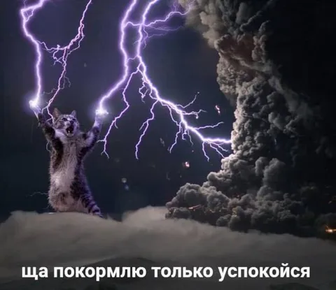 Ща покормлю, только успокойся