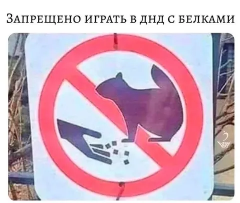 Играть в D&D с белками запрещено