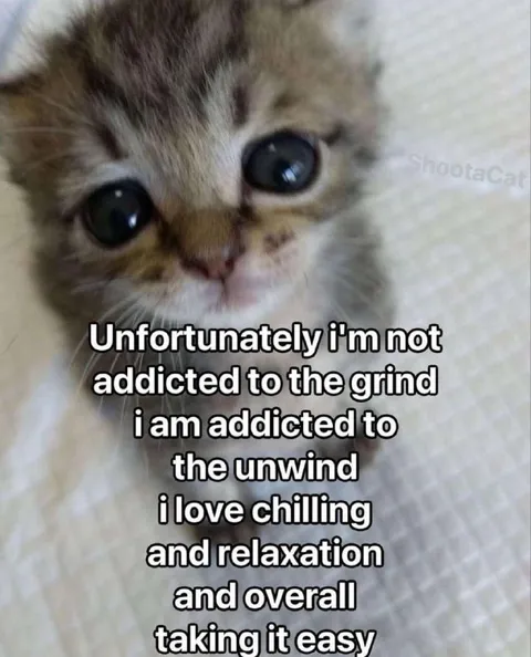 Kitten Prefers Chilling Over Grinding