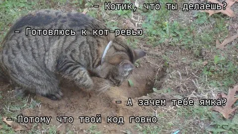 Кот готовится к кот-рeвью