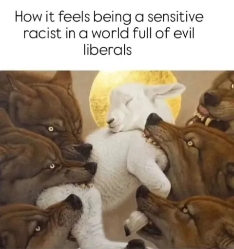 Sensitive Racist Among Evil Liberals