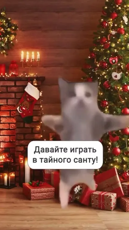 Тайный Санта с котами