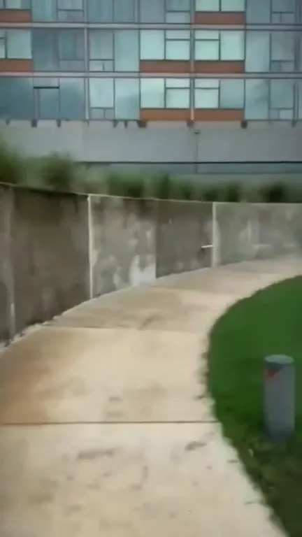 Piwo po rzucie frisbee