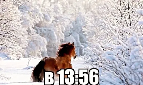 В 13:56 уже зима