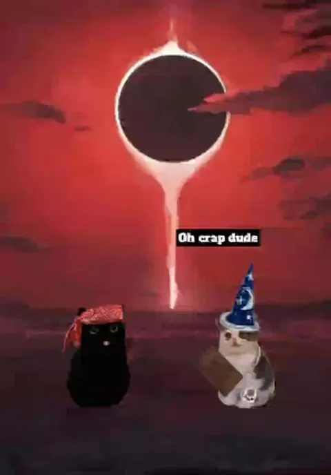Wizard Cat Casts Armageddon Spell