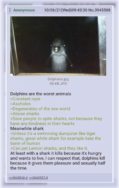 Dolphins Are the Worst Animals