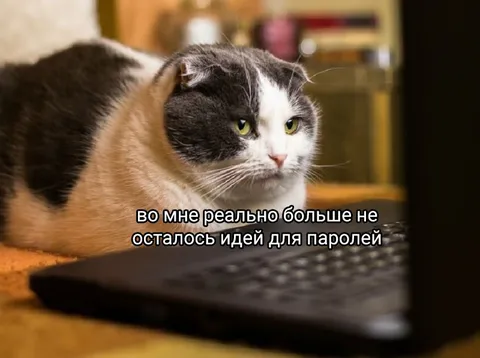 Кот закончились идеи для паролей