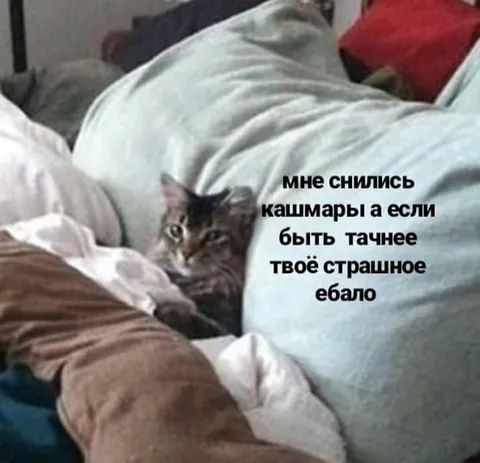 Кошмары и страшное ебало