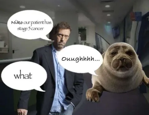 Seal Hears the Diagnosis