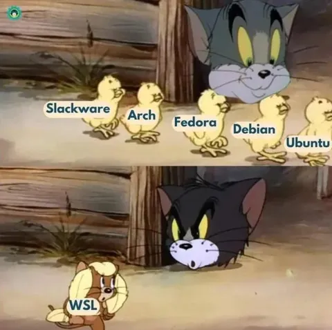 Tom Chases the Linux Distros