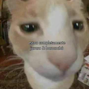 Completamente jururu e borocochô