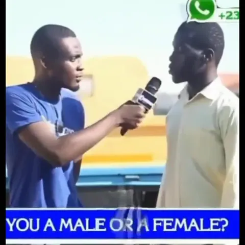 Male or Female Gmail Reveal
