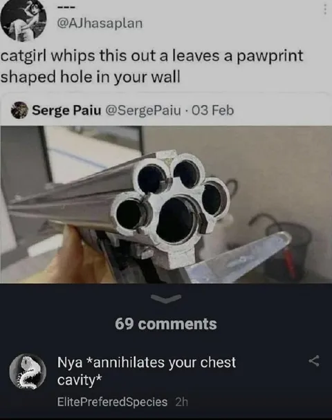 Catgirl Pawprint Wall Hole