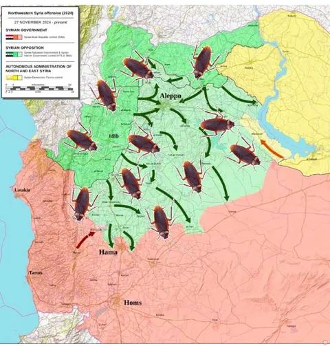 Cockroaches Invade Northwestern Syria