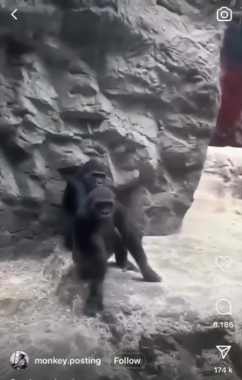 Visiting His Dad in Jail