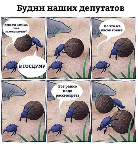 Будни наших депутатов