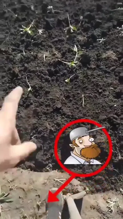 Что-то спрятано в земле